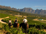 On horseback in the Cape Winelands
