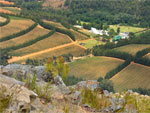 View from Bainskloof Pass